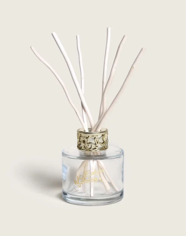 Duo mini bouquet & spray d’intérieur Lolita Lempicka Transparent – Image 3