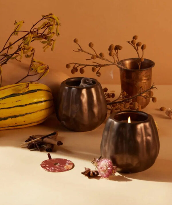 Pumpkin 283g Bronze Candle, Pumpkin & Spice - Paddywax – Image 2